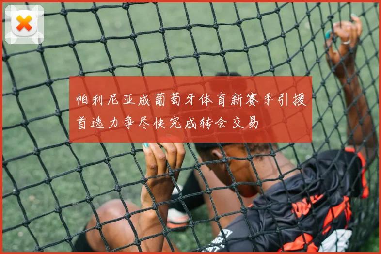帕利尼亚成葡萄牙体育新赛季引援首选力争尽快完成转会交易