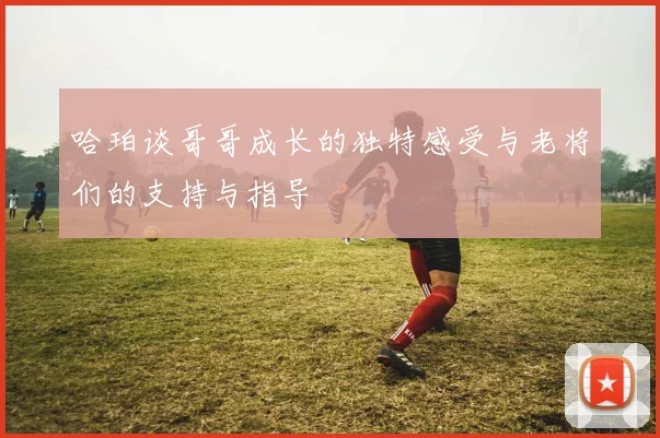 哈珀谈哥哥成长的独特感受与老将们的支持与指导