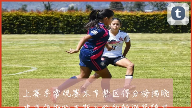 上赛季常规赛末节禁区得分榜揭晓申京领衔哈克斯杰伦约翰逊紧随其后